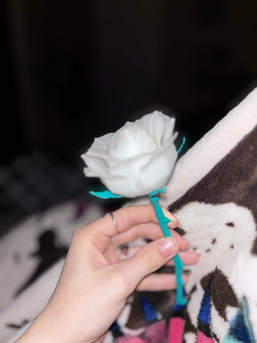 Everlasting Rose (1)